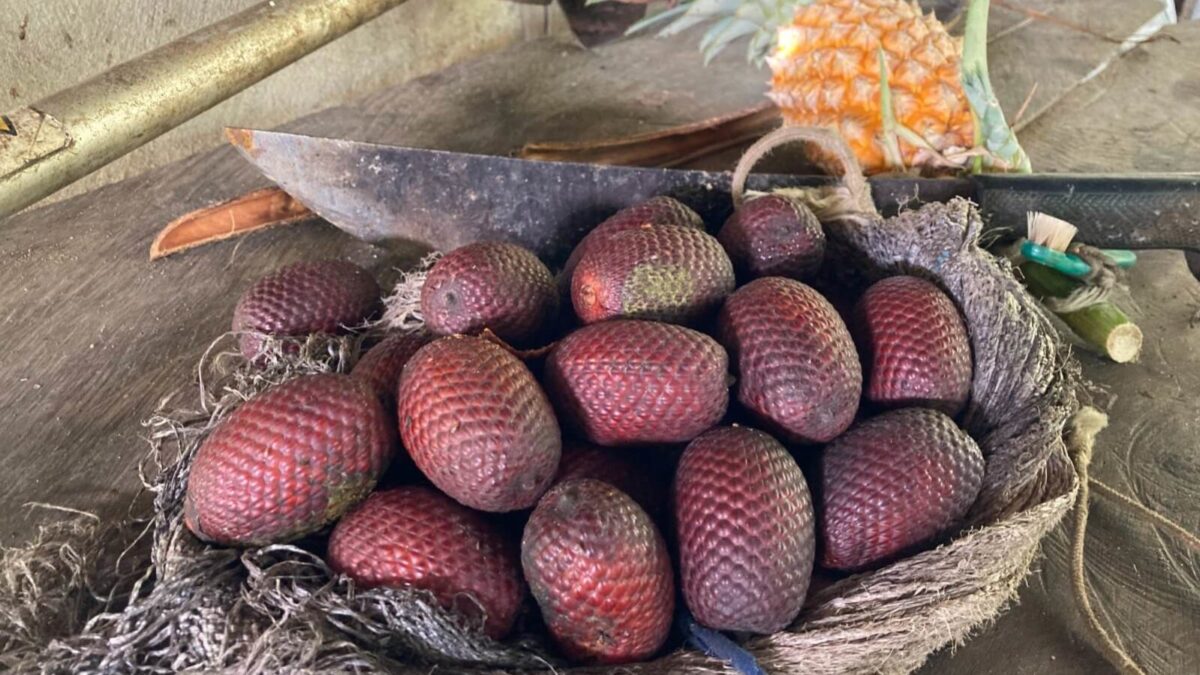 frutas amazônicas