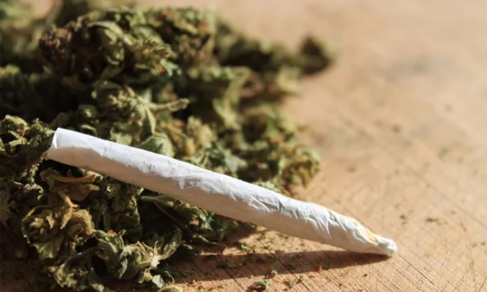 STF fixou em 40g quantidade de maconha para diferenciar usuário de traficante (Foto: Reprodução)