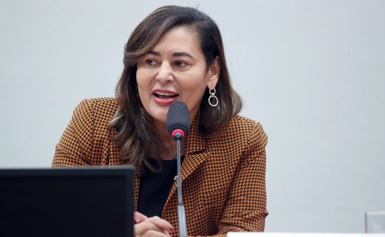 Deputada Dilvanda Faro, presidente da Comissão da Amazônia