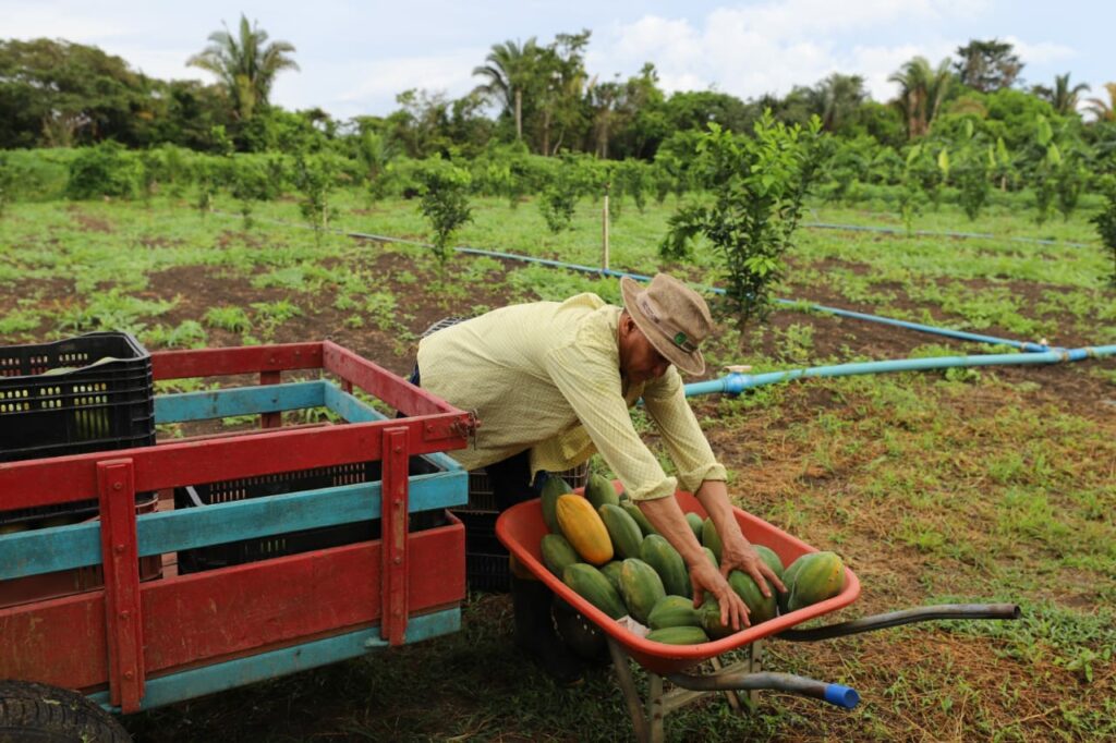 Imagem mostra produtor rural do Amazonas