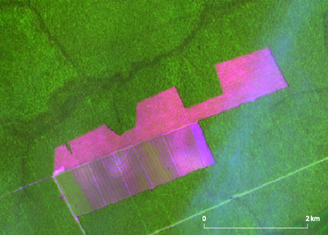 Imagem de satélite capta desmatamento na Amazônia