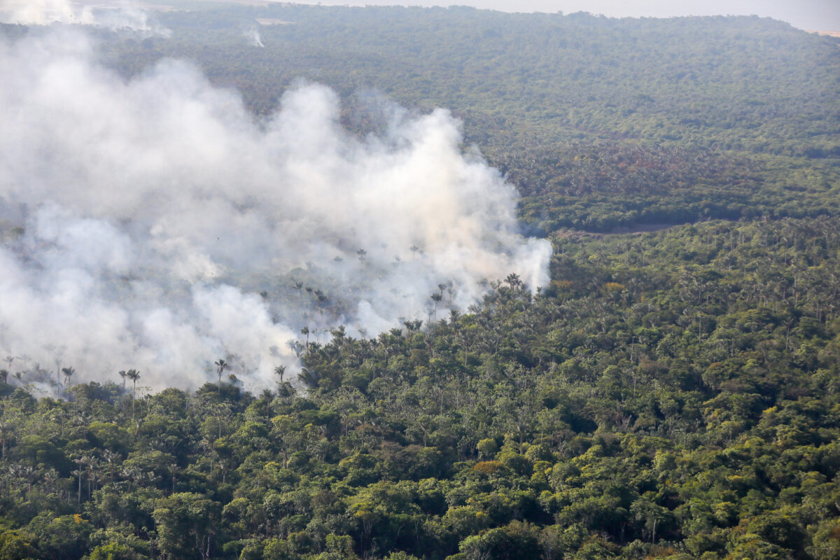 Queimada na floresta no Amazonas - (Foto: lex Pazuello/Secom)