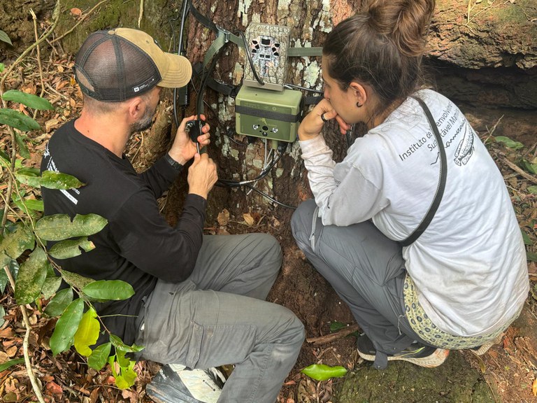 Pesquisadores instalam modulo que controla por meio de inteligência artificial a biodiversidade na RDS Mamirauá