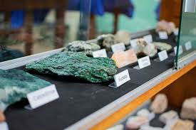 Solos da Amazônia em exposição no novo museu da UEA