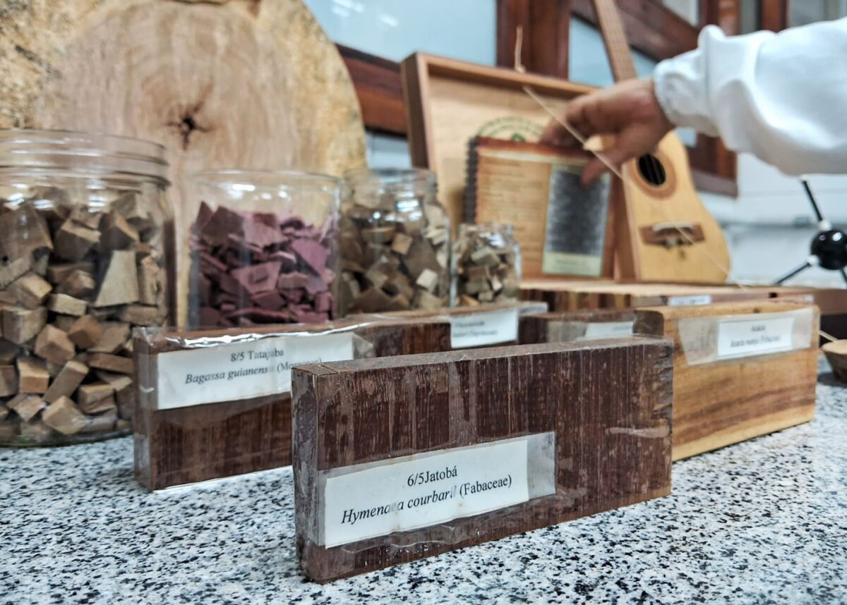 A pesquisa concentrou-se no aproveitamento de resíduos do setor madeiro de diversas espécies, incluindo acácia, angelim-pedra, ipê-amarelo. (Foto Acervo da coordenadora da pesquisa, Maria da Paz Lima)