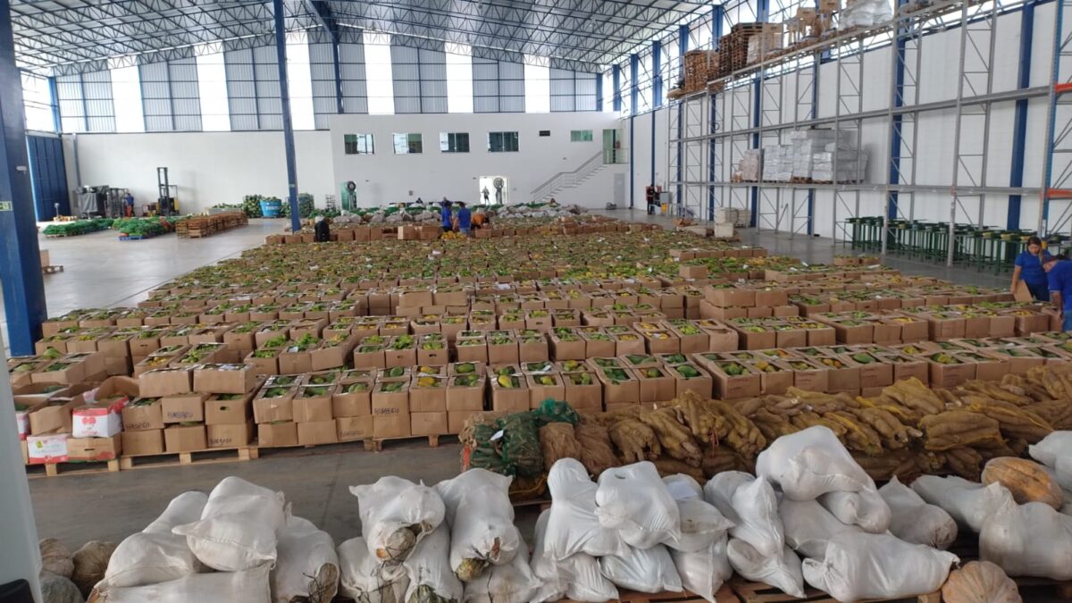 Rede estadual de ensino receberá mais de 125 toneladas de produtos regionais para a merenda escolar por meio do programa Preme. Foto: Divulgacao ADS