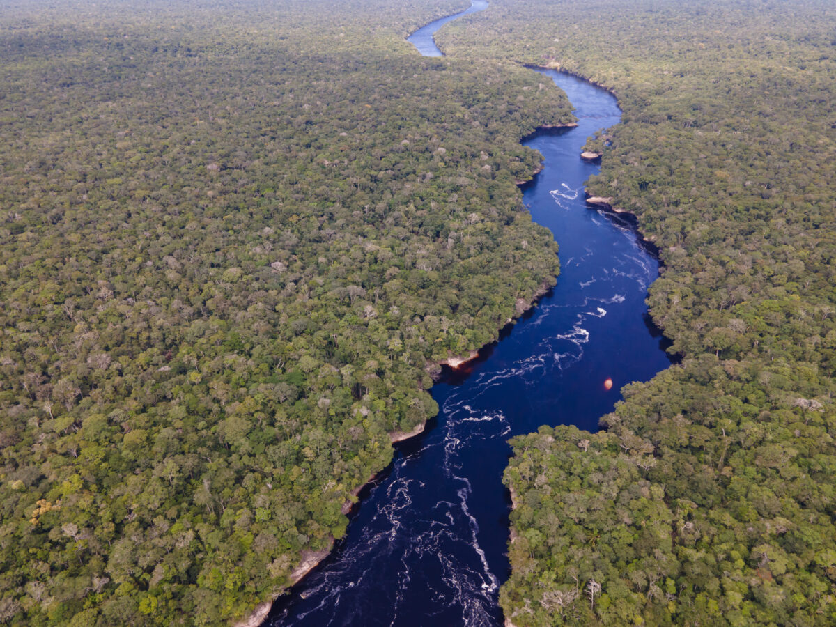 bacia amazônica foto tadeu rocha wcs