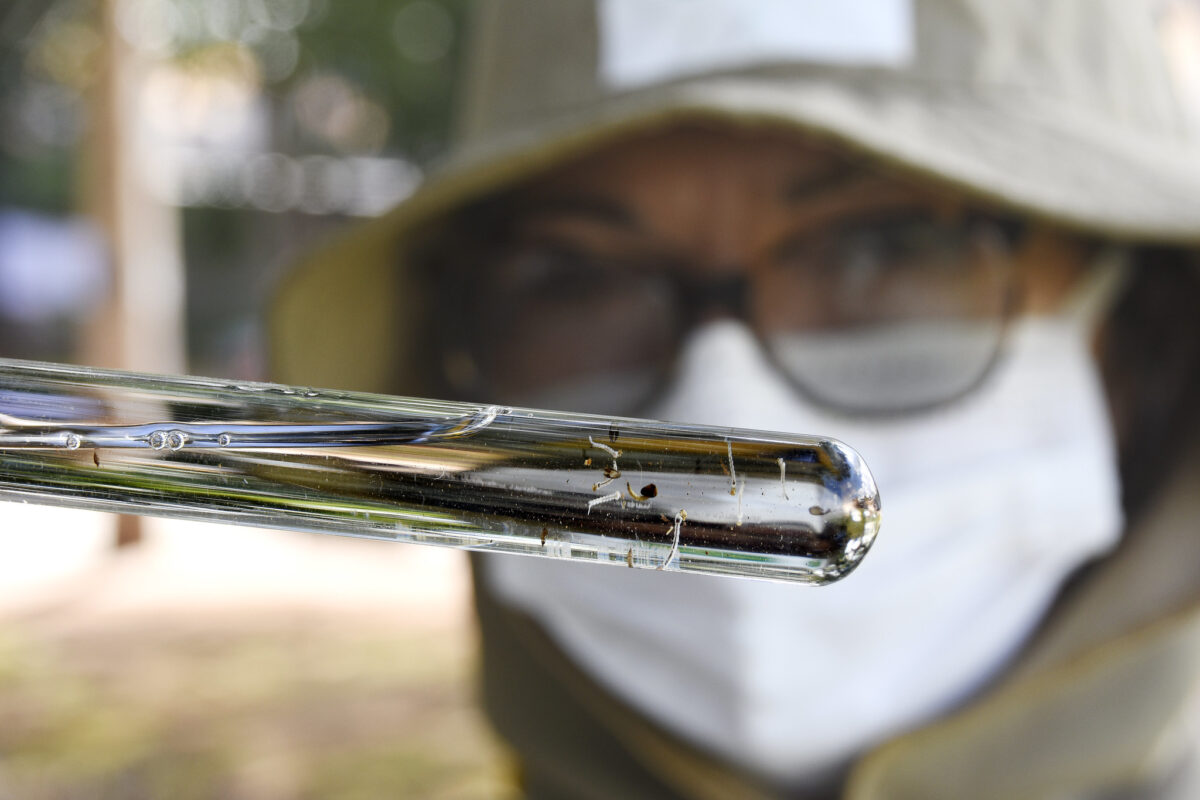O país registrou um recorde de casos de dengue neste ano, superando os números de 2023 (Foto: Divulgação/Ministério da Saúde)