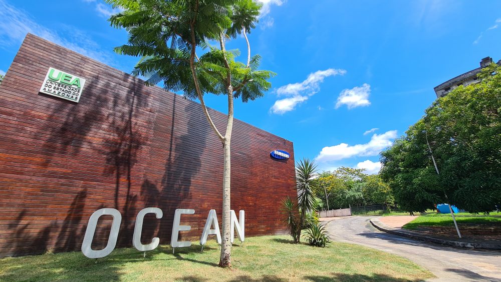 Samsung Ocean promove mais de 10 trilhas de aprendizagem, com foco na formação tecnológica e inovação para o mercado de trabalho. (Foto: Divulgação)