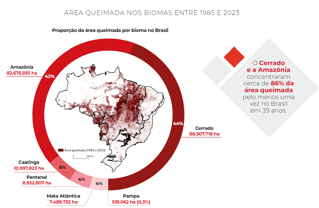 Proporção da área queimada por bioma no Brasil (Arte: MapBiomas)

