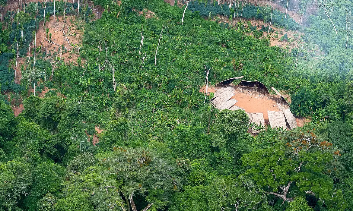 MPF recomenda que bancos cancelem crédito rural para propriedades em áreas de conservação na Amazônia (Foto: Leo Otero/MP)