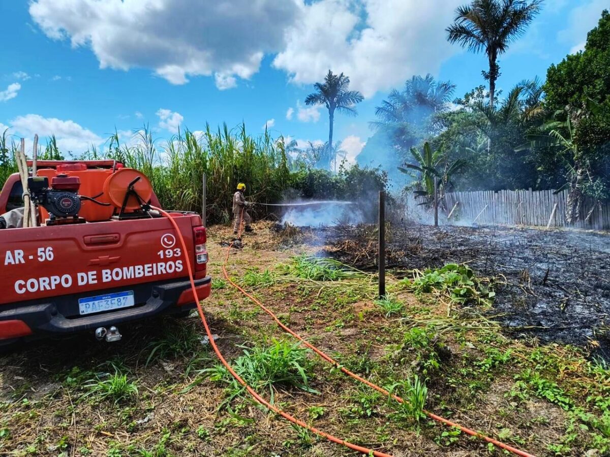 Corpo de Bombeiros combateu 560 focos de incêndios em um mês (Foto: Divulgação/CBMAM)