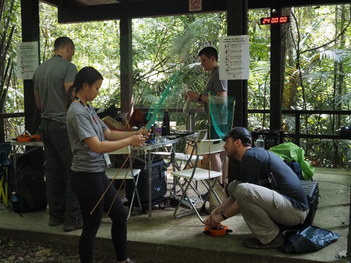 Equipes de cientistas de seis países participam de competição para mapear a biodiversidade da Amazônia