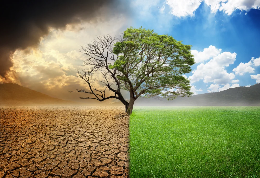 'TEDxAmazônia' reúne ministra, artistas e especialistas para debater emergência climática