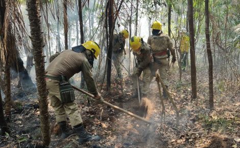 Corpo de Bombeiros