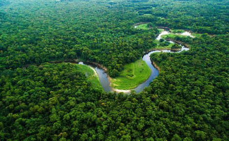 5b07ea98-floresta-amazonica-1024x682