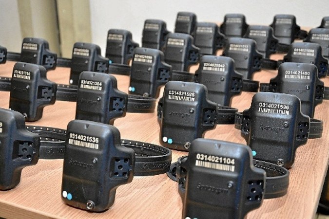 tornozeleira eletrônica