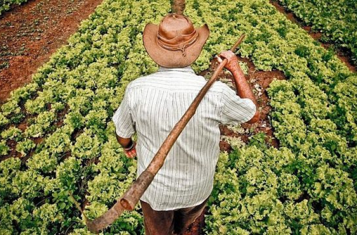 reforma agrária