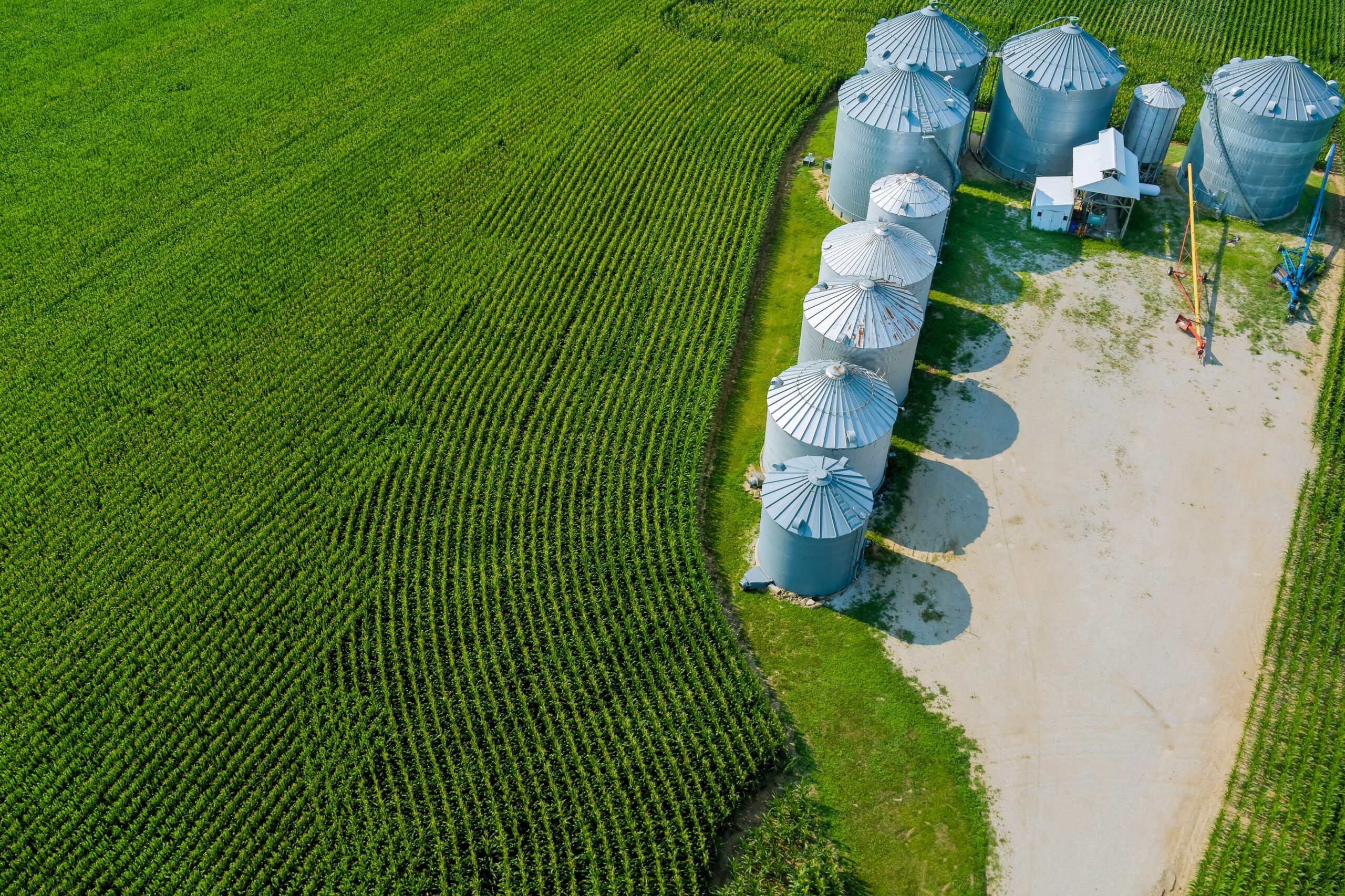 Consumo de milho para etanol no Brasil pode mais que dobrar até 2032, diz Abramilho 1 Consumo de milho para etanol no Brasil pode mais que dobrar até 2032, diz Abramilho