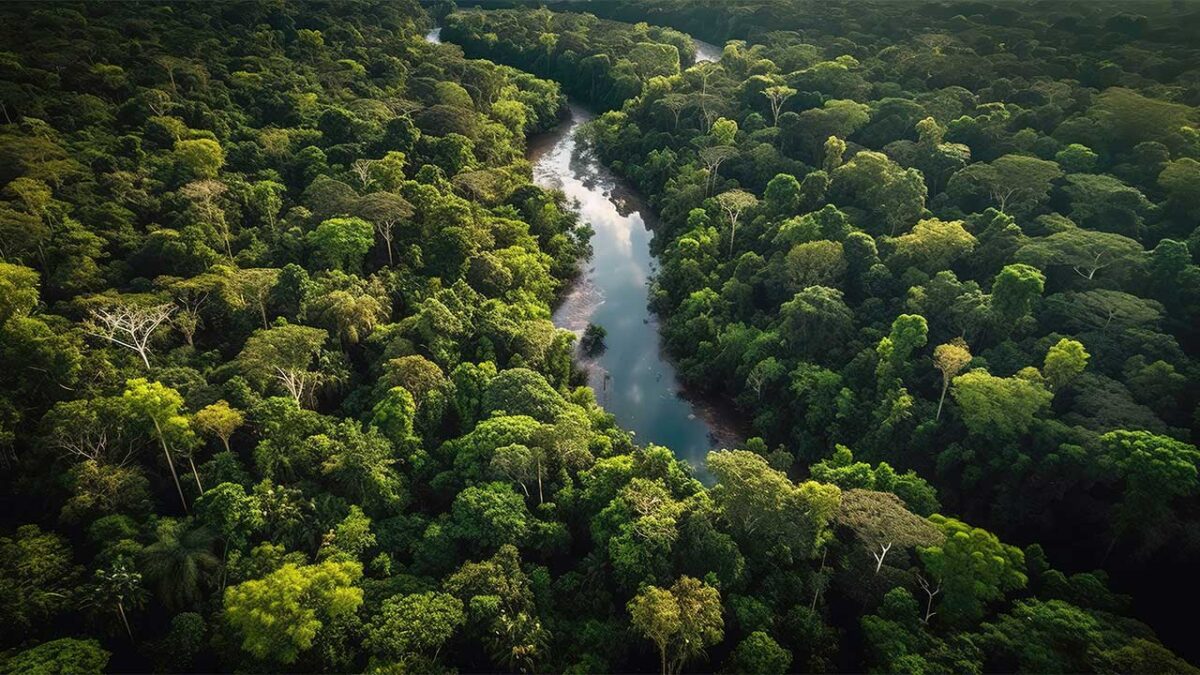 CNJ promove debates para discutir desafios atuais da Amazônia