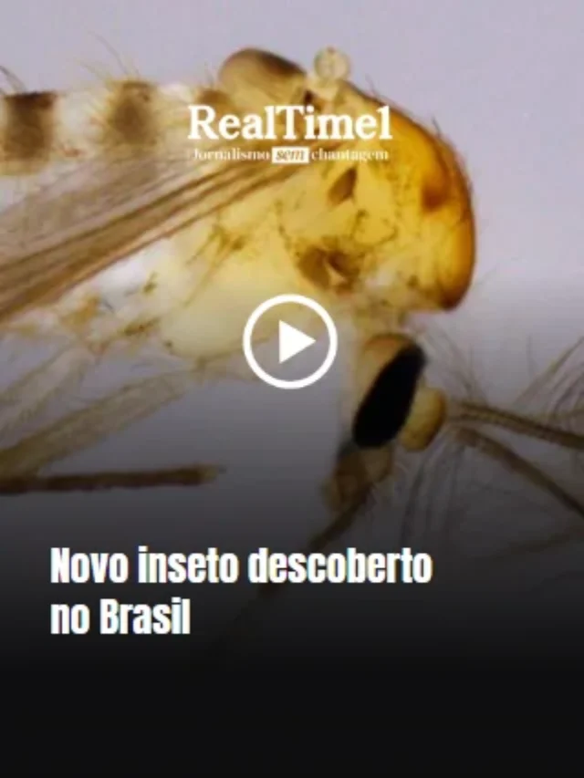 Novo inseto descoberto no Brasil – RealTime1