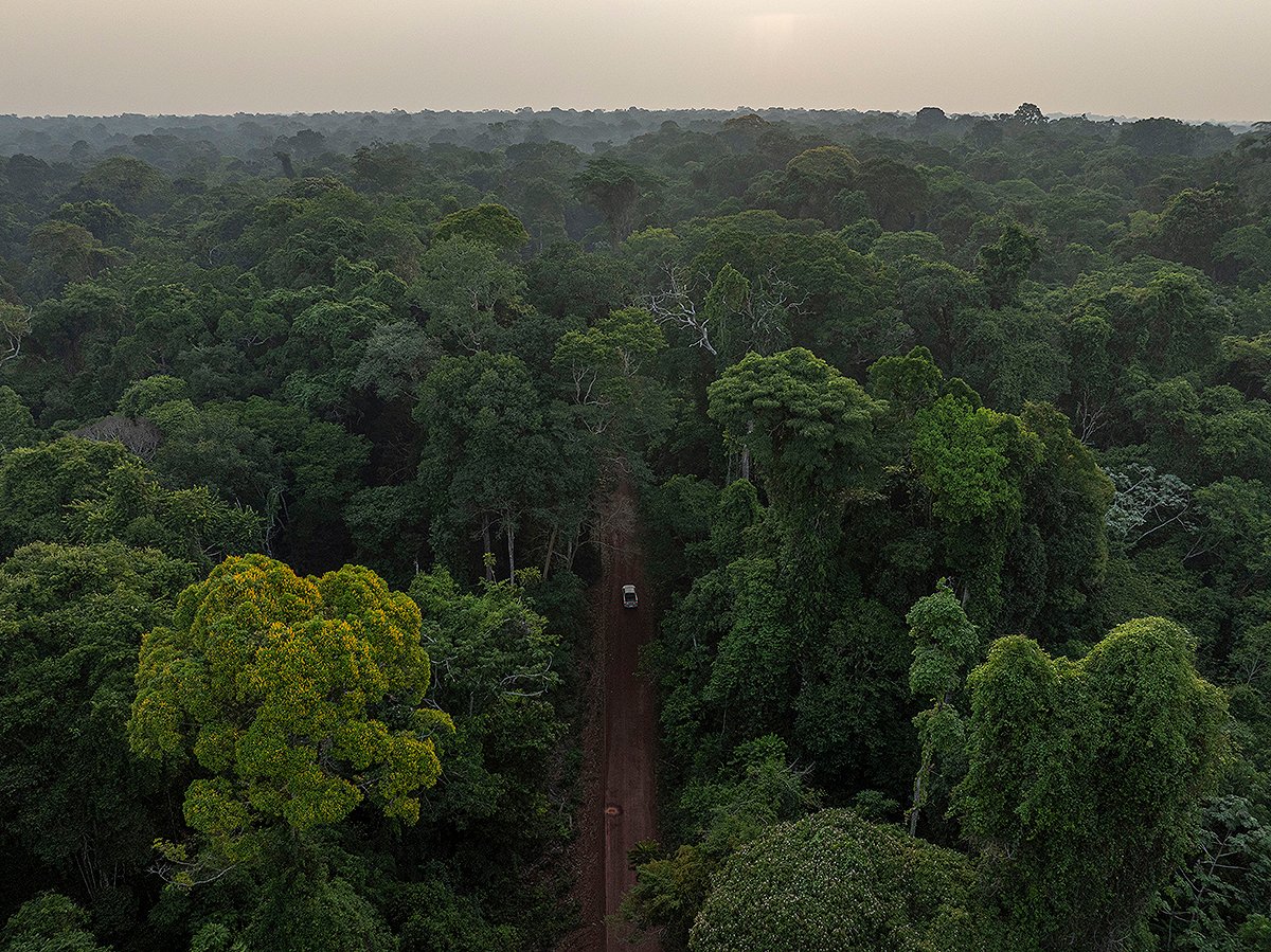 amazonia-joao-marcos-rosa