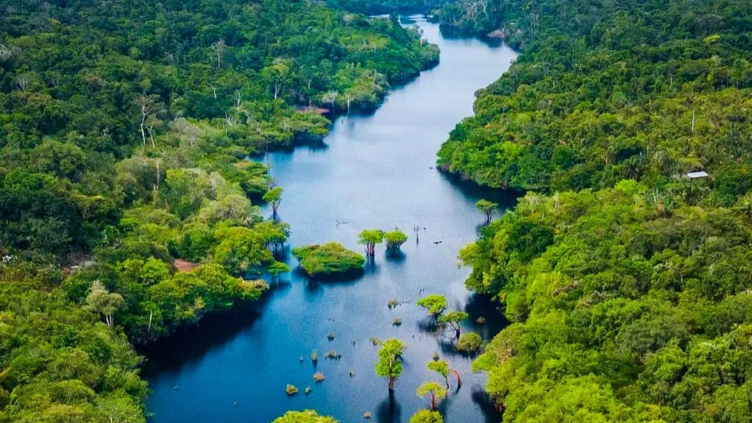 O Amazonas possui 42 unidades de conservação estaduais, sendo 8 de proteção integral e 34 de uso sustentável