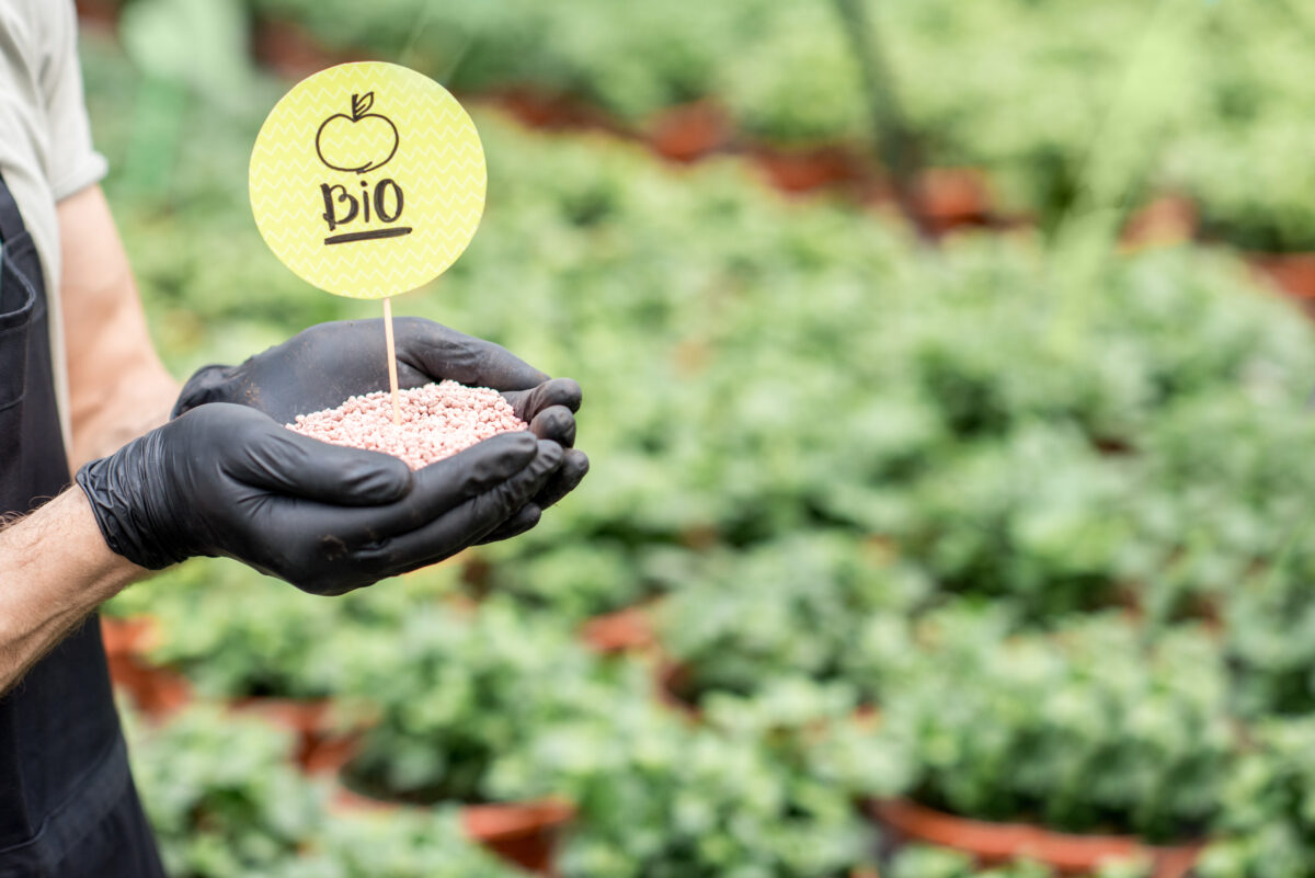 Pessoa segura insumos orgânicos com plaquinha “Bio” em meio a plantas cultivadas