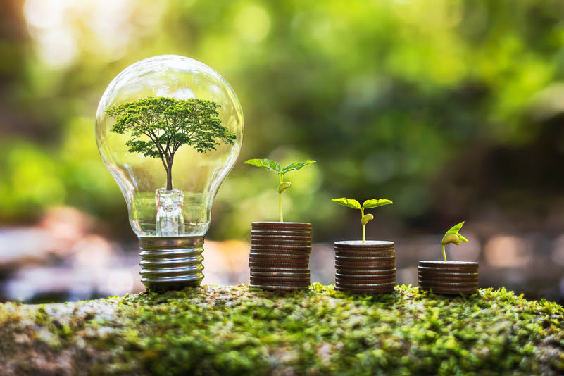BID lança programa ‘Amazônia para Todos’ para impulsionar economia verde na região