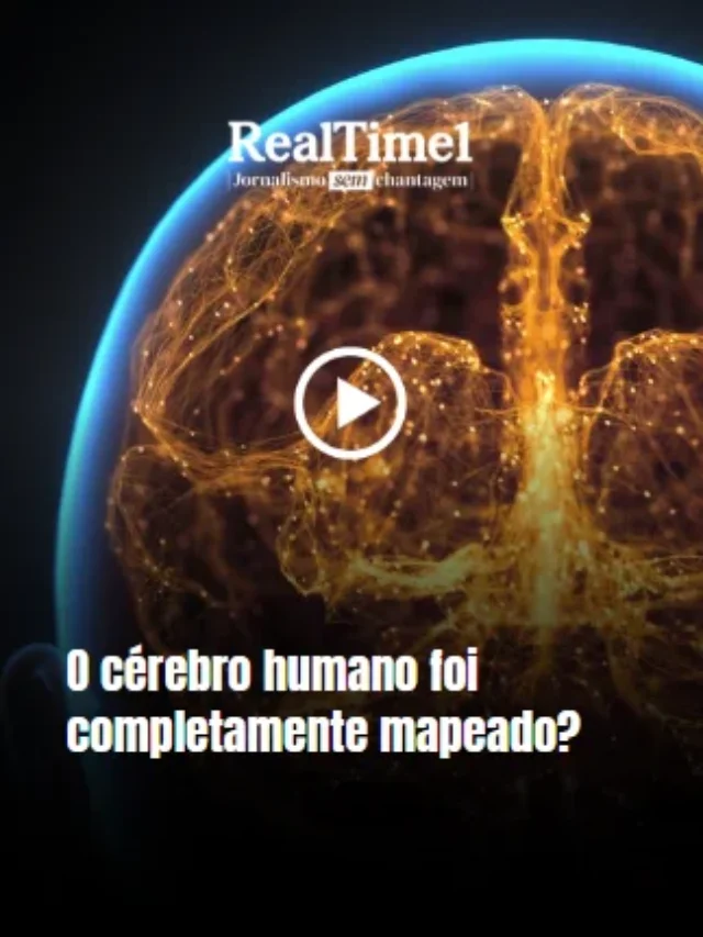 cerebro mapeado