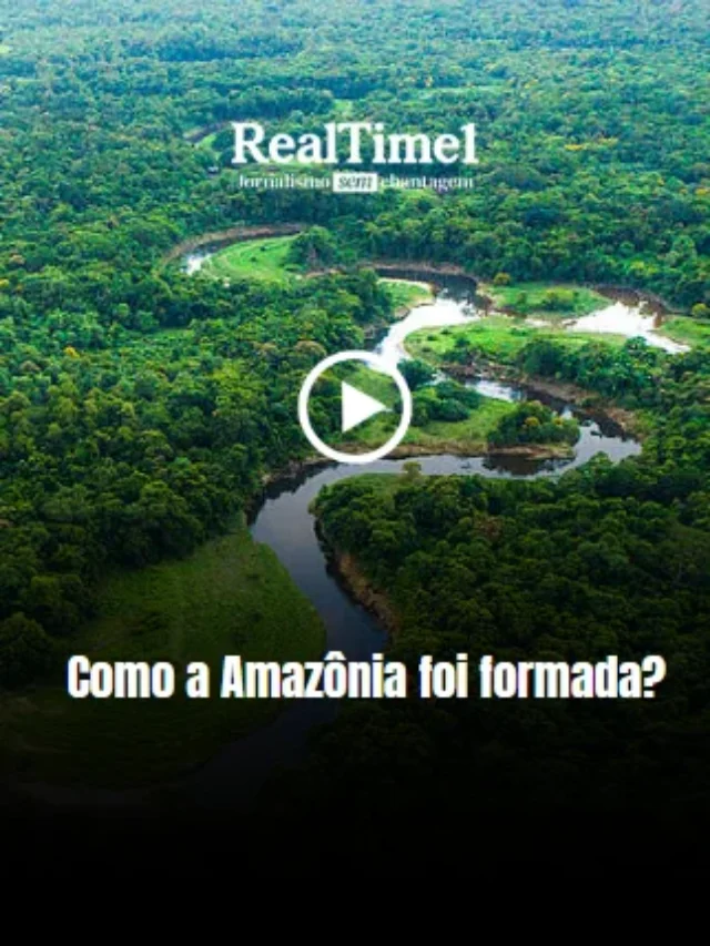 Como a Amazônia foi formada?
