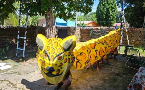 Carnaval em uma comunidade da Amazônia: Bloco Esturro da Onça