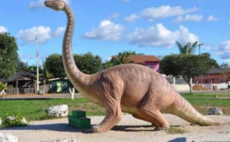 Município com vocação para o turismo, Novo Airão vive raro momento de estabilidade política neste século. (Arquivo)