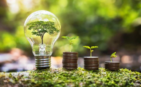 BID lança programa ‘Amazônia para Todos’ para impulsionar economia verde na região