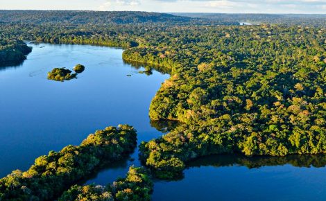 Vista aérea de trecho de floresta amazônica com rio sinuoso e áreas de mata contínua.