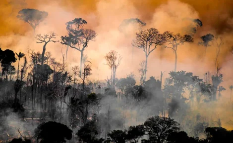 Queimadas na Amazônia