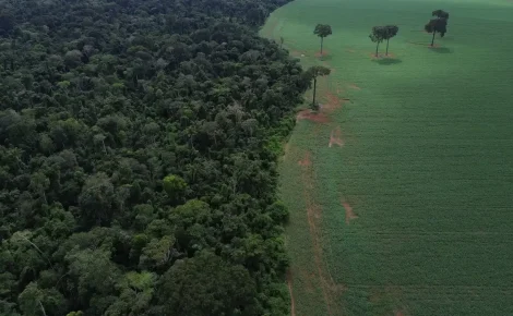 Foto: Fernando Frazão/Agência Brasil