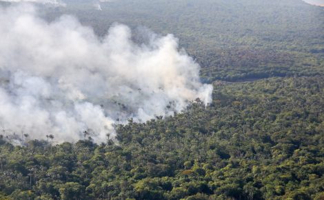 Queimada na floresta no Amazonas - (Foto: lex Pazuello/Secom)