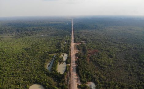 Trecho central da rodovia BR-319, que liga Manaus a Porto Velho (RO)