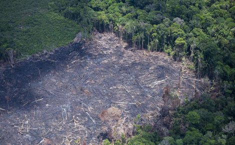 Desmatamento na Amazônia. (Foto: Greenpeace)