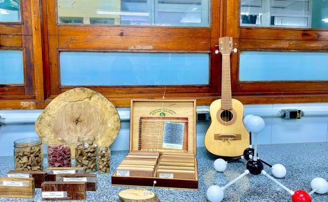 A pesquisa concentrou-se no aproveitamento de resíduos do setor madeiro de diversas espécies, incluindo acácia, angelim-pedra, ipê-amarelo. (Foto Acervo da coordenadora da pesquisa, Maria da Paz Lima)