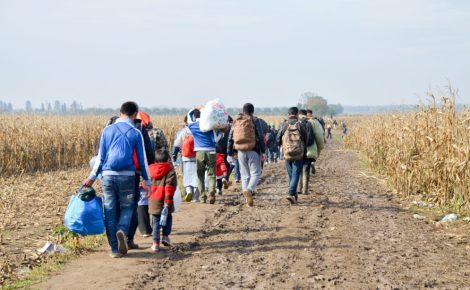 refugees and migrants walking on fields. group of refugees from