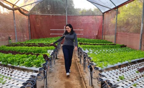 Com foco no setor de Agritechs, a Agrega+ é liderada pela Engenheira Agrônoma Jane Leão (Foto: Divulgação)