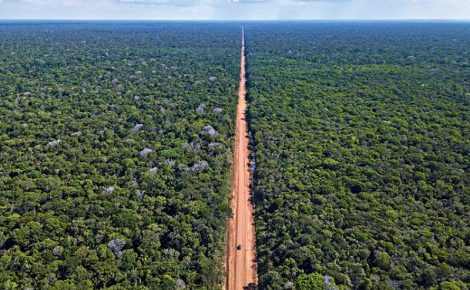 A BR-319 se estende por aproximadamente 918 km, conecta Manaus a Porto Velho e é a única ligação terrestre da capital do Amazonas com o restante do país.