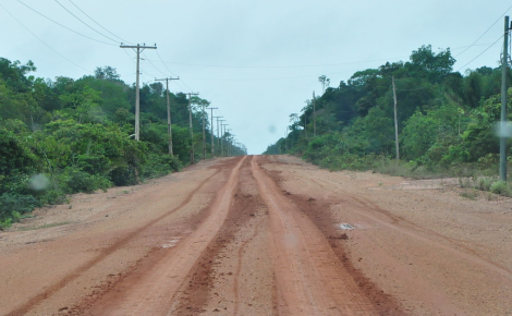 Trecho C da BR-319 (Foto: Observatório BR-319)