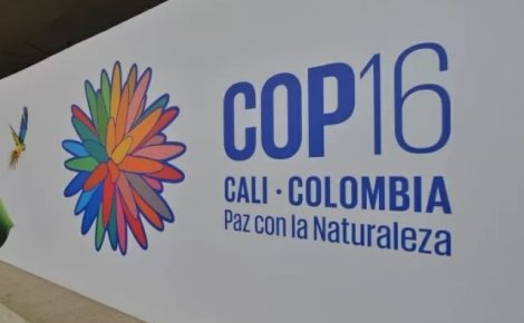 16ª Conferência das Nações Unidas sobre Biodiversidade acontece em Cali, na Colômbia (Foto: Gabriel Aponte/Getty Images)