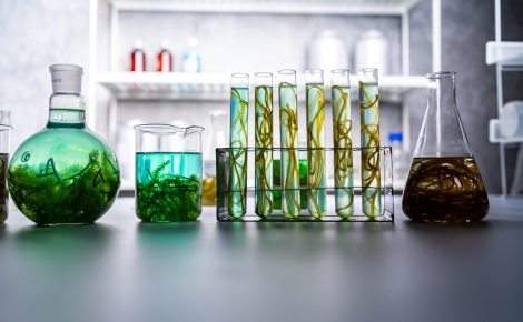 Setup Amazon abre inscrições e conecta startups e investidores da bioindústria amazônica
