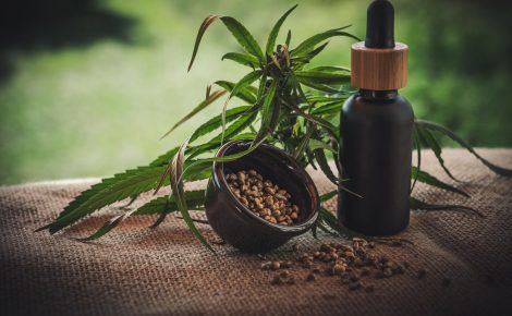 cannabis cbd 4474903