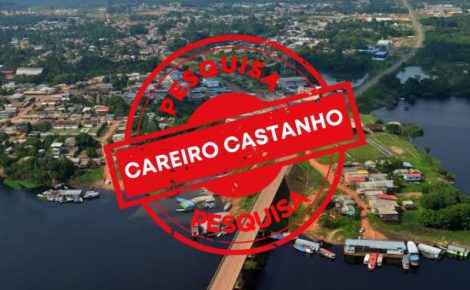 Careiro Castanho