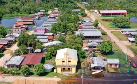 Anamã (Foto: Divulgação)